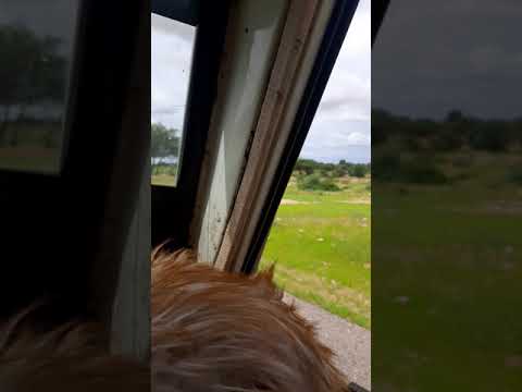 طريــق نيالا امنــواشــي الــيـ الفاشــــــر