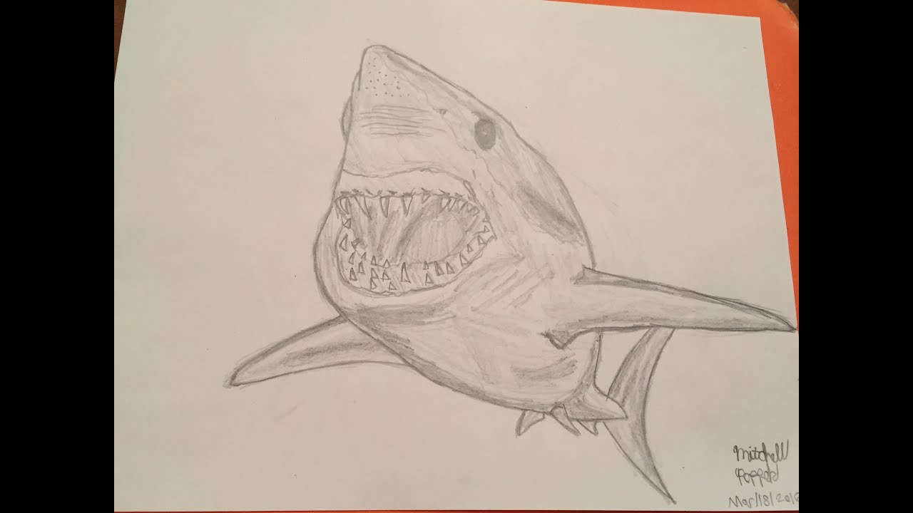 How to draw a Mako Shark - YouTube