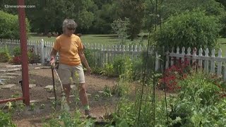 Gardeners had Norfolk Botanical Garden change routine to keep plants alive