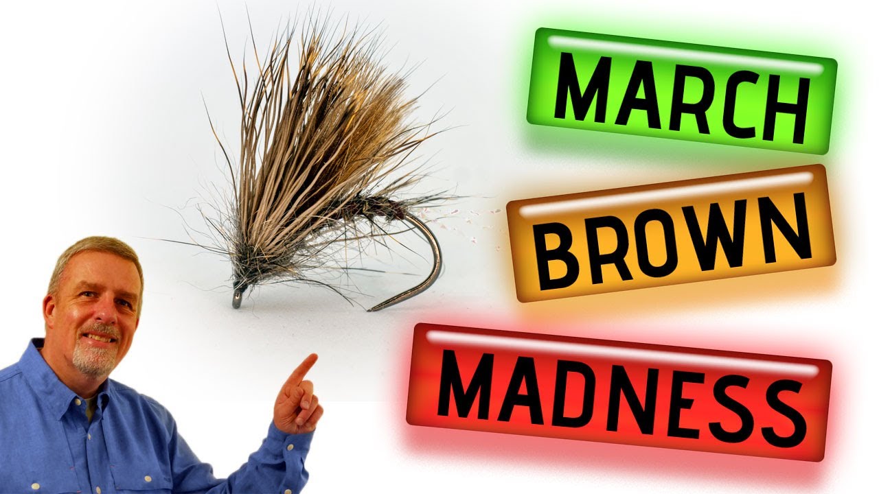 Tie an essential March Brown Dry Fly #Flytying #MarchBrown