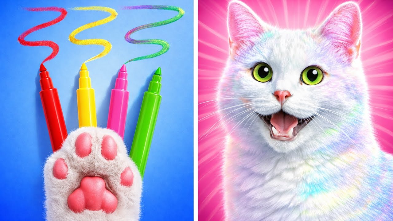 Rescuing the Cutest Little Kitty! 🐾 Viral Pet Tools & Creative DIY Upgrades 😱🐱 | 123GO!