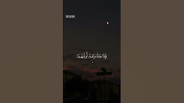 وقضينا إلى بني إسرائيل ياسر الدوسري سورة الإسراء (اللهم أغث أخواننا الفلسطينيين 🇵🇸)