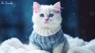 Calming Music for Cats - Relaxation, Deep Sleep, Stress Relief, Peaceful Piano Music - BEAT INSOMNIA by Pet Friendly 1,412 views 2 weeks ago 24 hours