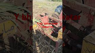 Download Lagu Gahas Katar  mshen MP3