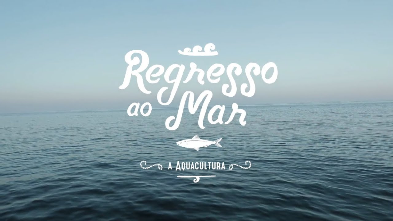 Regresso ao Mar | Ep3 - A Aquacultura