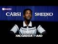 Cabsi Sheeko Xaqada 1 Aad Sidee Bay Qisadan Ugu Dhacday Amiin 