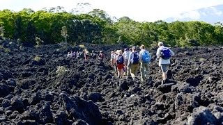 Hands on in Hawaii