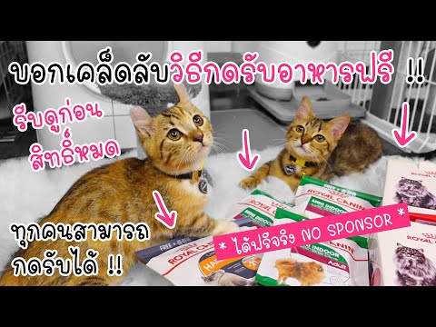 🐯 เคล็ดลับกดรับอาหารสัตว์ส่งถึงบ้านฟรี !! ได้ฟรีจริง NO SPONSOR !! 🌈