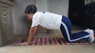 Performance Task- PATHFIT 1 BPED