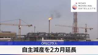 OPECプラス　自主減産を2カ月延長【モーサテ】