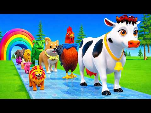 Long Slide Game with Cow Elephant Gorilla Hippopotamus Tiger 3d Animal Game Funny 3d Animals
