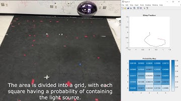 Source Seeking with Miniature Autonomous Blimp