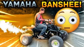 Yamaha Banshee is INSANE!!