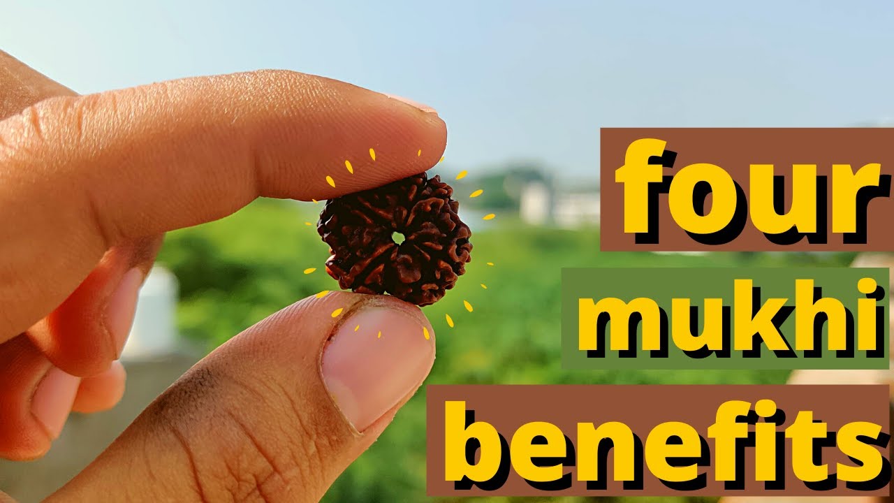 4-mukhi-rudraksha-benefits-how-to-wear-4-mukhi-rudraksha-youtube