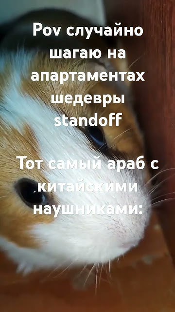 мемасики #мем #мемасик - YouTube