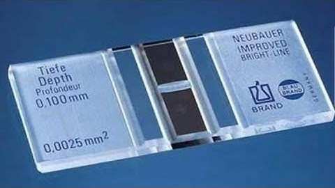 TLC on counting chamber # neubauer chamber # white blood cells count#full procedure.