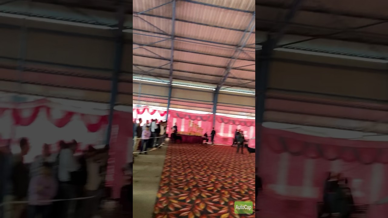 Yamunanagar Dog Show 🥰🥰 