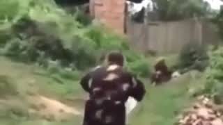 Gulmeli Statuslar Maraqli Vidyolar