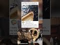 This is MemePosts!Wait till the end#funnymemesvide0s #fyp#memes
