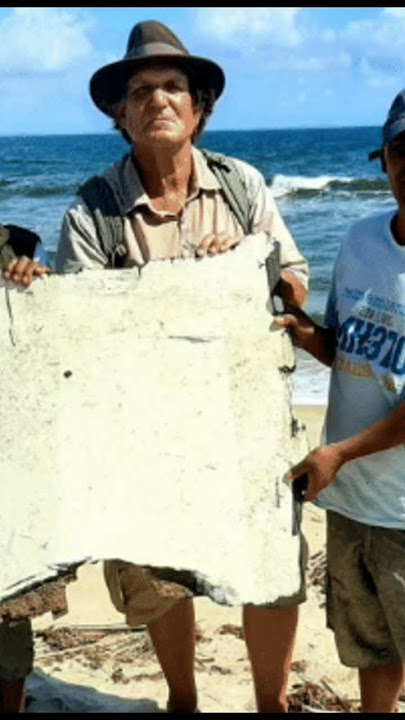 Malaysia Airlines Flight MH370 was a  Malaysia Airlines that disappeared on March 8, 2014 #flyback