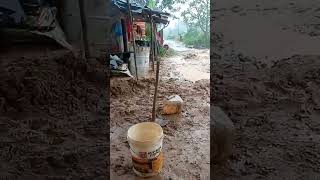 Download Lagu banjir badai angin ribut ndasku nganti cemut cemut MP3