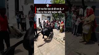 DESI POWER + RHYTHM 🪘🤩 DANCE HORSE #horse #dancechoreography #shorts #dancemoves #gharghoda #yt