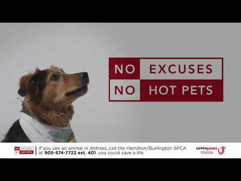 Video: #NoHotPets