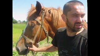 Даже не знаю как это назвать, что то делаем с картошкой конем Даже не знаю как это назвать, что то делаем с картошкой конем