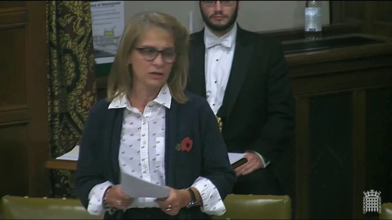 Wera Hobhouse's speech at the PR debate, 30th October
