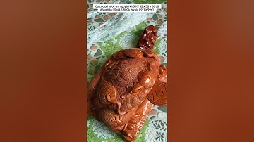 Cụ cóc gỗ ngọc am nguyên khối KT 52 x 38 x 38 cả đồng tiền 45 giá 5.800k lh zalo 0911169961.