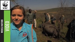 Download Lagu Reisdagboek van de neushoornreis van de jonge WNF-Ranger Chiara MP3