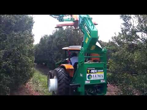 Podadora T-rex 3500 Luma
