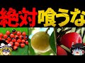 食べるとふつうに死ぬ果物・果実10選