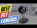 Top 5 Pet Cameras in 2024 👌