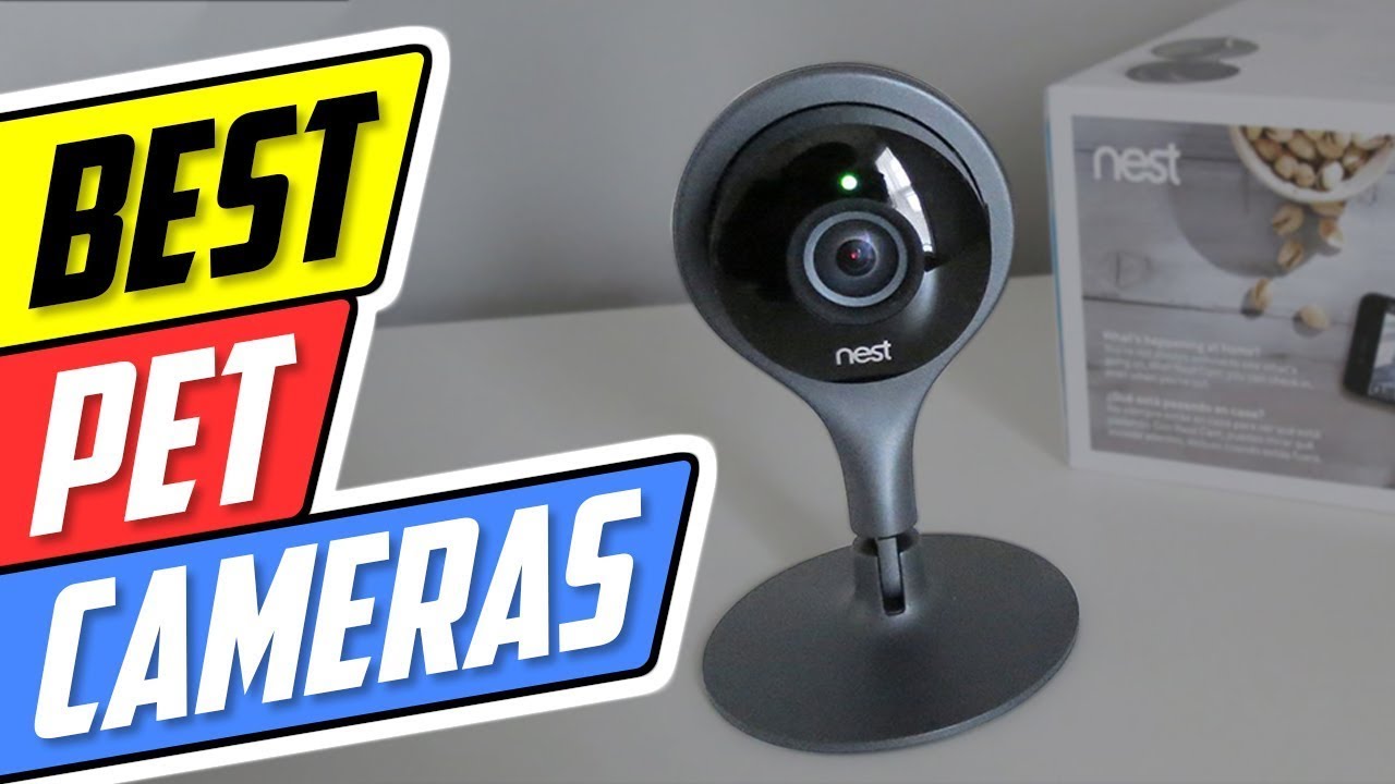 Top 5 Best Pet Cameras In 2022 👌