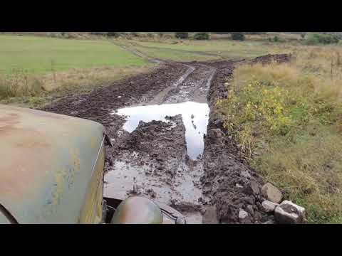 GT-მეგობრები ჯაყისმანი