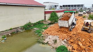 Starting New Project.Incredible Bulldozer Pushing soil Delete the Pond in Village by Dump truck 5ton