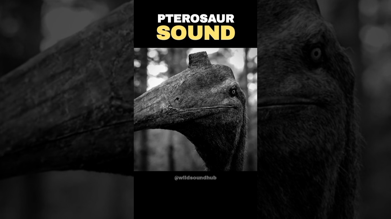 This TERRIFYING Pterosaur Sound Will Haunt You 😱🦖 (Realistic) 