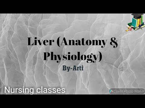 Liver (Anatomy and physiology) Part-1 - YouTube