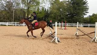 Judy no hands jumping