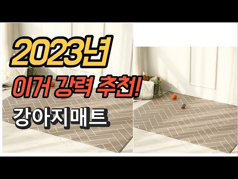 2023년 가성비 대박 강아지매트 상품 추천순위 TOP10