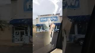 five below