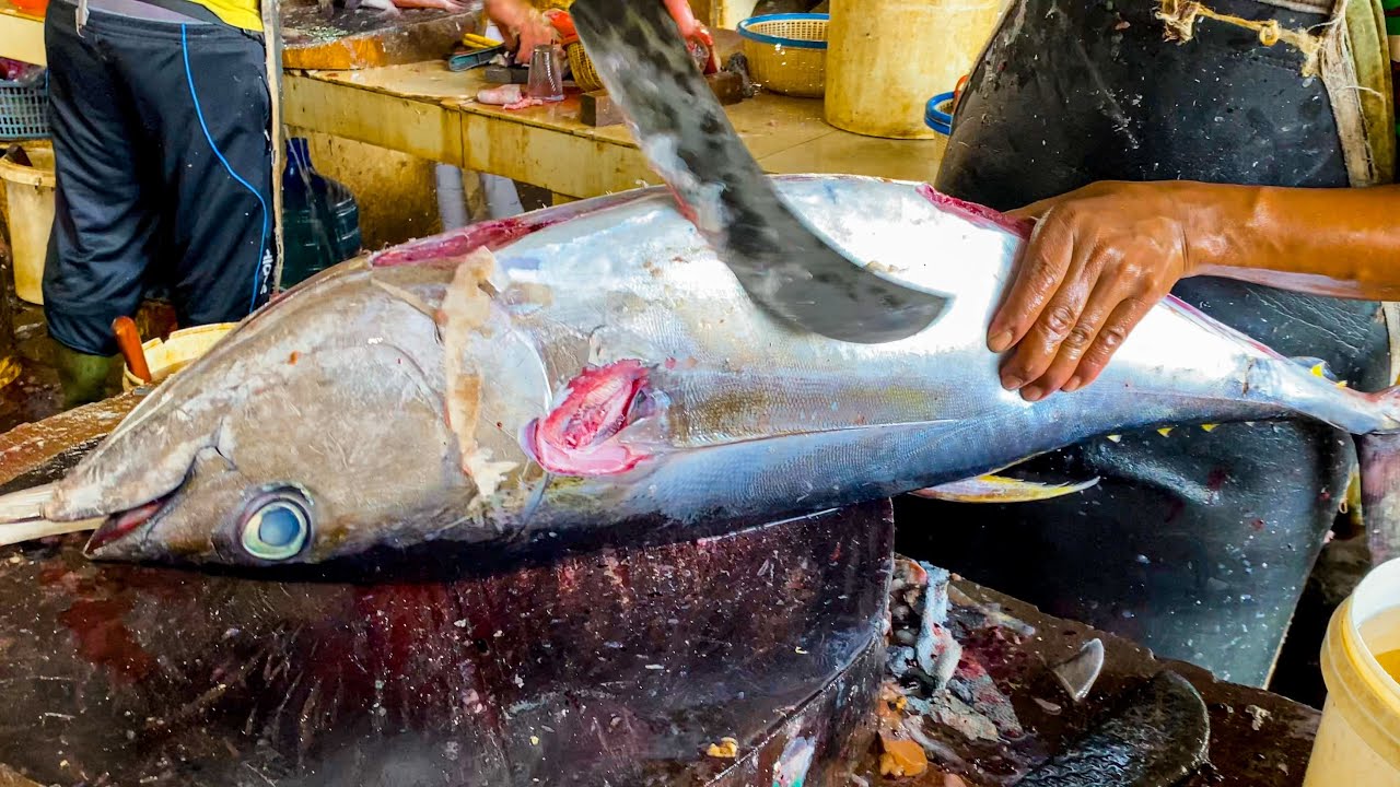 Fish Cutta EXPERT FISH CUTTER || TUNA FISH SLICING & CUTTING IN TRADITIONAL FISH ...