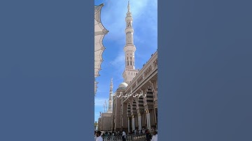 سورة غافر|الأية ٤٤|فستذكرون ما أقول لكم #القرآن#راحة_نفسية #المصحف