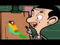 Rare Bird | Season 02 Episode 38 | Mr. Bean Official Cartoon