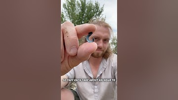 Making Primitive Shell Fish Hooks #survival #primitive #outdoors #nature #fishing #bushcraft #diy