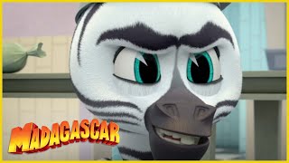 DreamWorks Madagascar en Español Latino | Marty esta a cargo de la cocina | Madagascar: Algo Salvaje