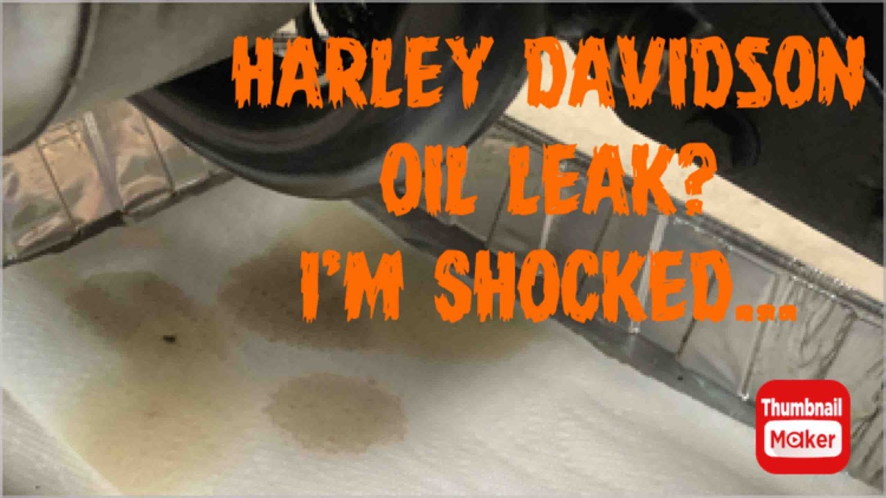 Harley Davidson Oil Leak? I’m Shocked 🙄 YouTube