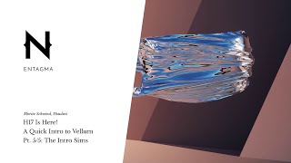 Houdini 17 is here! Vellum quickstart pt. 5/5: Setting Up The Intro Animations