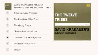 David Krakauer's Klezmer Madness!, David Krakauer - The Twelve Tribes
